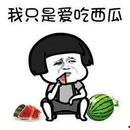 一线吃瓜娱乐圈讲什么