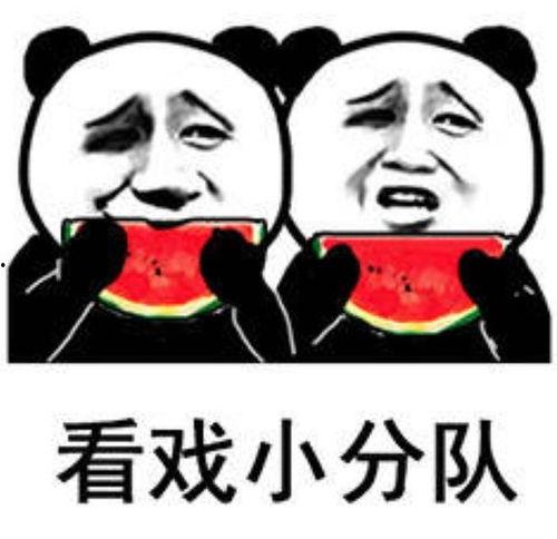 吃瓜娱乐照片图片大全